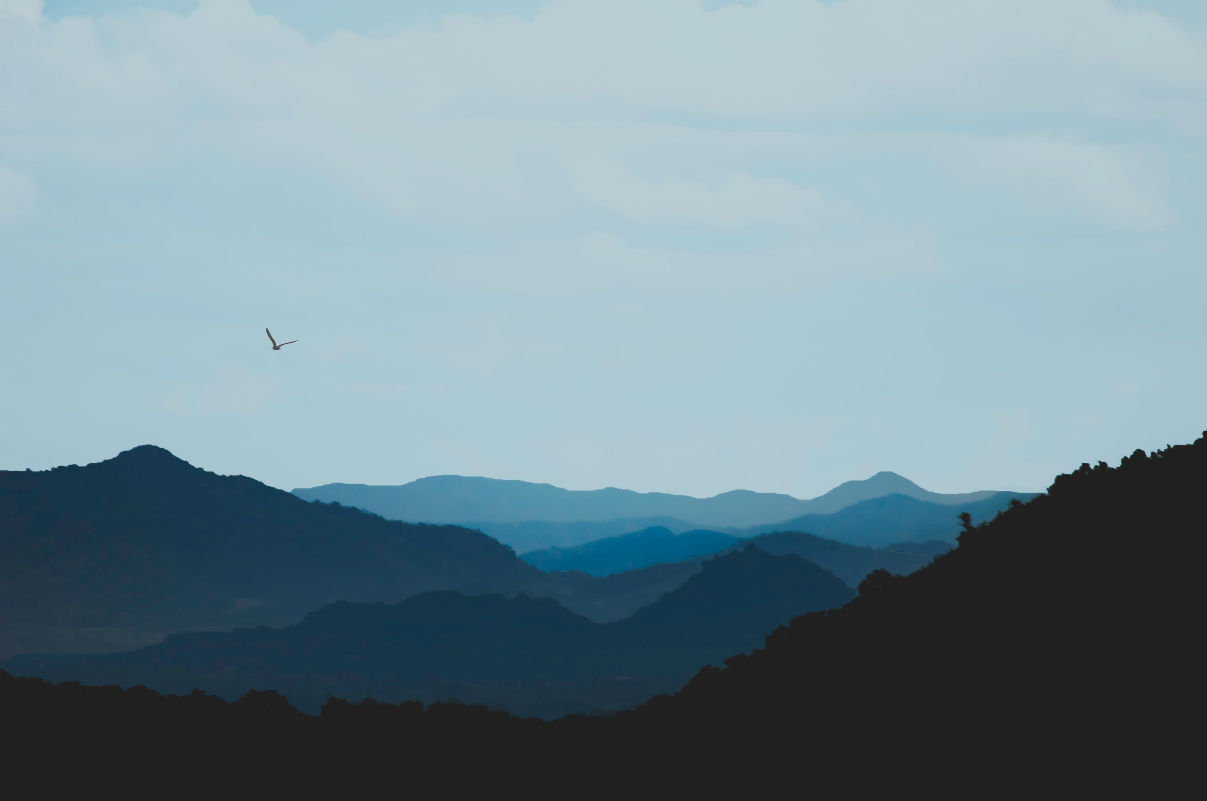 Videos Hero Section Background